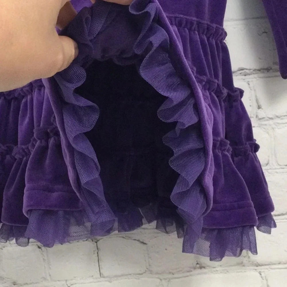 Hanna Andersson 2T Purple Ruffle Velvet Dress - Picture 4 of 6